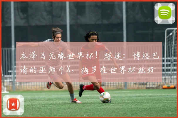 本泽马无缘世界杯！球迷：博格巴请的巫师牛X，梅罗在世界杯就好