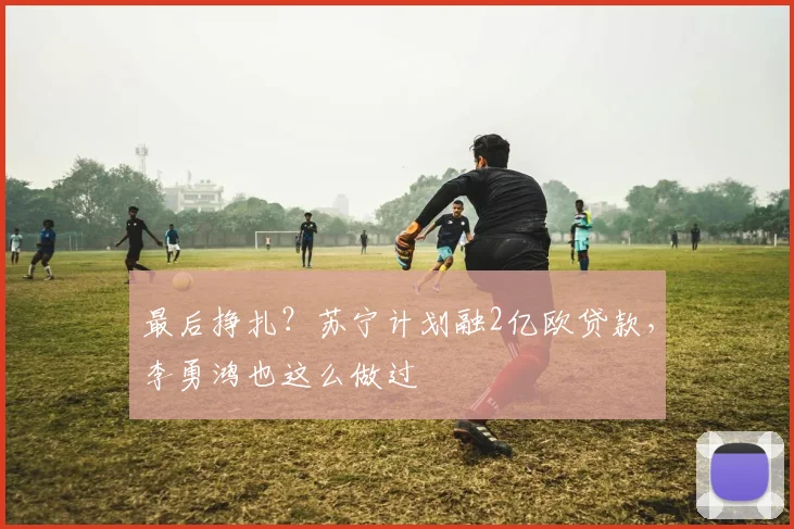 最后挣扎？苏宁计划融2亿欧贷款，李勇鸿也这么做过