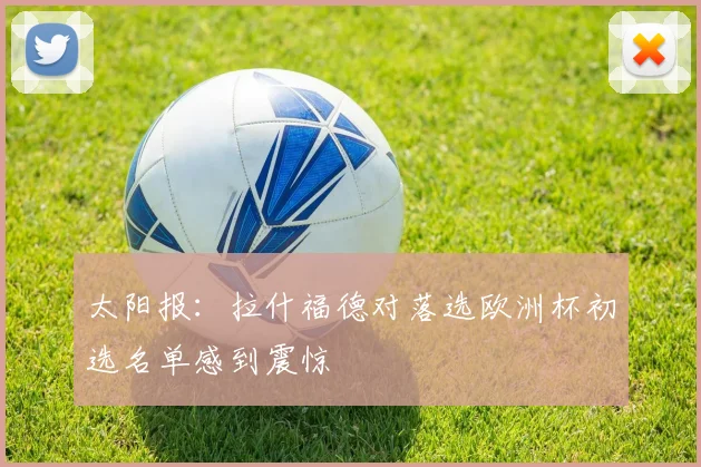 太阳报：拉什福德对落选欧洲杯初选名单感到震惊