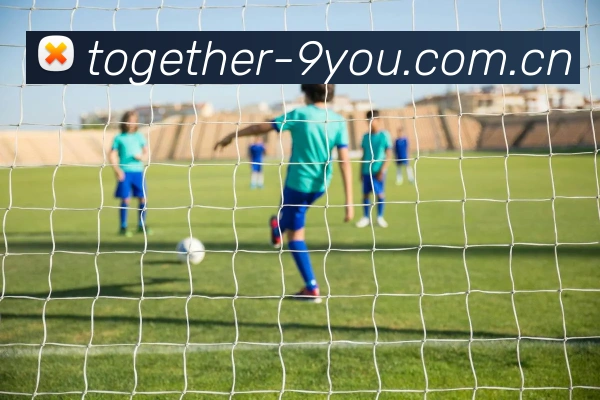 九游体育APP 高清赛事图